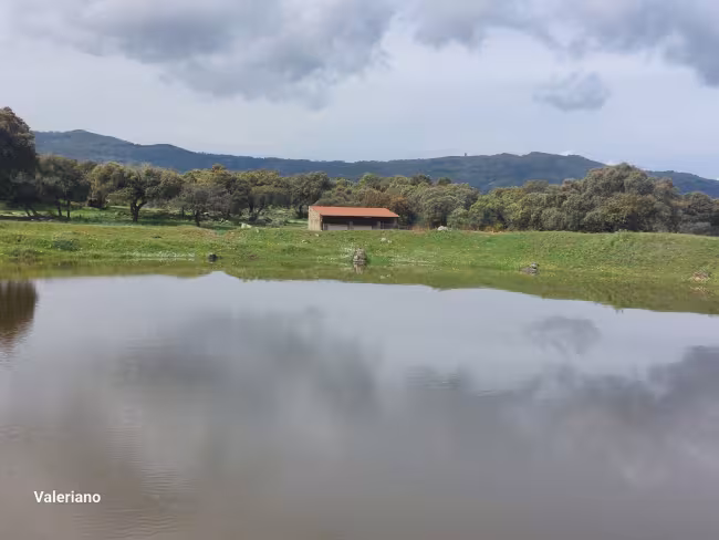 F-C-C 73 - Finca con casa en Torre de Santa María