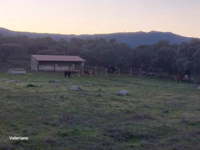 F-C-C 73 - Finca con casa en Torre de Santa María