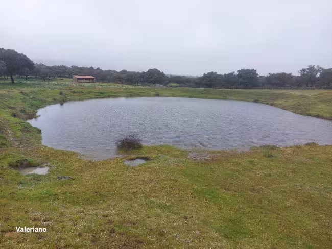 F-C-C 73 - Finca con casa en Torre de Santa María