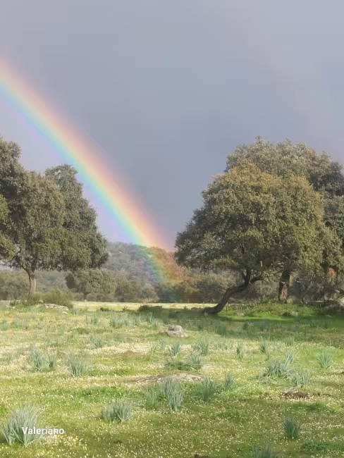 F-C-C 73 - Finca con casa en Torre de Santa María