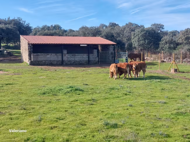 F-C-C 73 - Finca con casa en Torre de Santa María