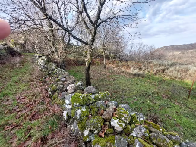 FR-116 - Finca en Montánchez